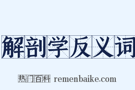 解剖学反义词是什么意思的图片